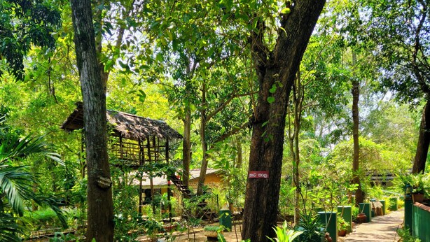A pathway through a lush garden with trees, a thatched-roof structure, and potted plants. - Safari Village Hotel (Udawalawa)