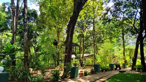 A lush garden with a variety of trees and plants, a pathway, and outdoor seating areas. - Safari Village Hotel (Udawalawa)