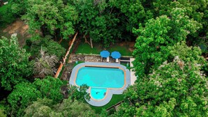 An aerial view of a swimming pool surrounded by dense greenery, with two blue umbrellas and a small deck area. - Safari Village Hotel (Udawalawa)