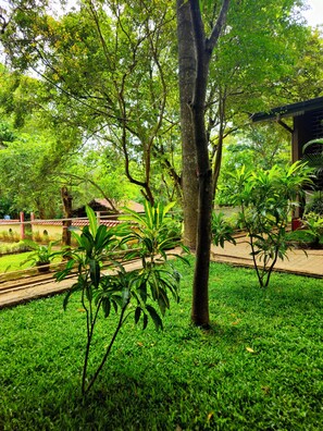 Exterior - Udawalawe Safari VIllage By Plateeno (Udawalawa)