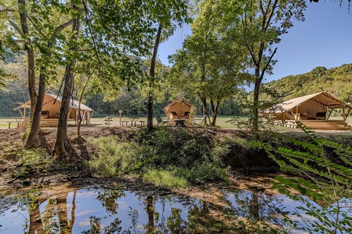 Creekside Tranquil Glamping in the Smokies|WiFi|AC