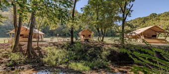 Creekside Tranquil Glamping in the Smokies|WiFi|AC