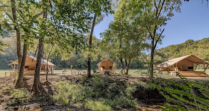 Creekside Tranquil Glamping in the Smokies|WiFi|AC