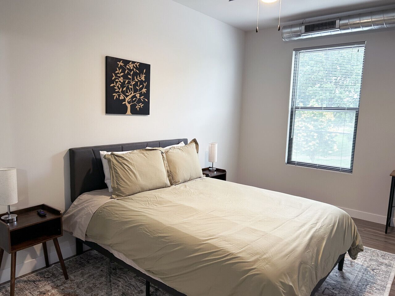 Desk, WiFi, bed sheets