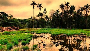 Ngoại thất