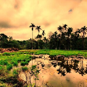 Exterior - Twisted Tree Cottages Coorg (Virajpet)