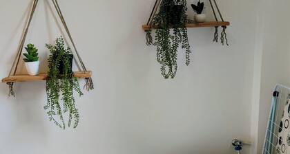 Le CyprĂšs en centre ville Bourg-Saint-Maurice