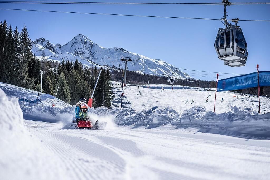 Snø- og skisport
