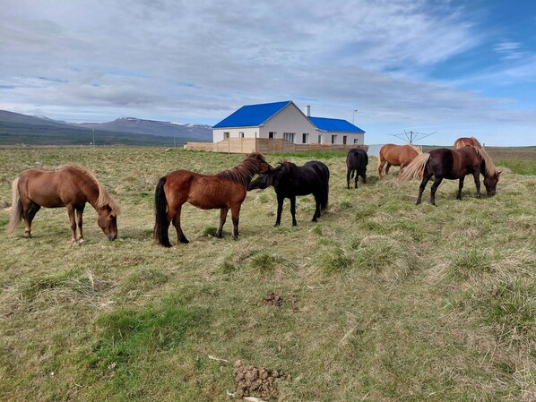 Fachada del alojamiento