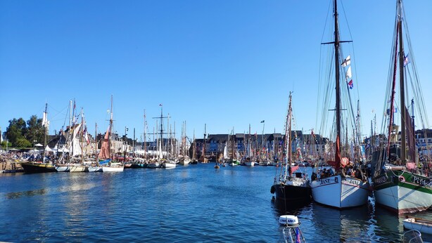 Un port de plaisance où sont amarrés de nombreux voiliers, un ciel bleu dégagé et des bâtiments en arrière-plan.