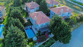 Trädgård