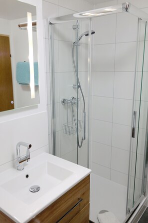 Shower, towels, toilet paper