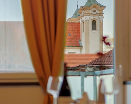 华丽公寓, 阳台, 花园景观 | 餐厅