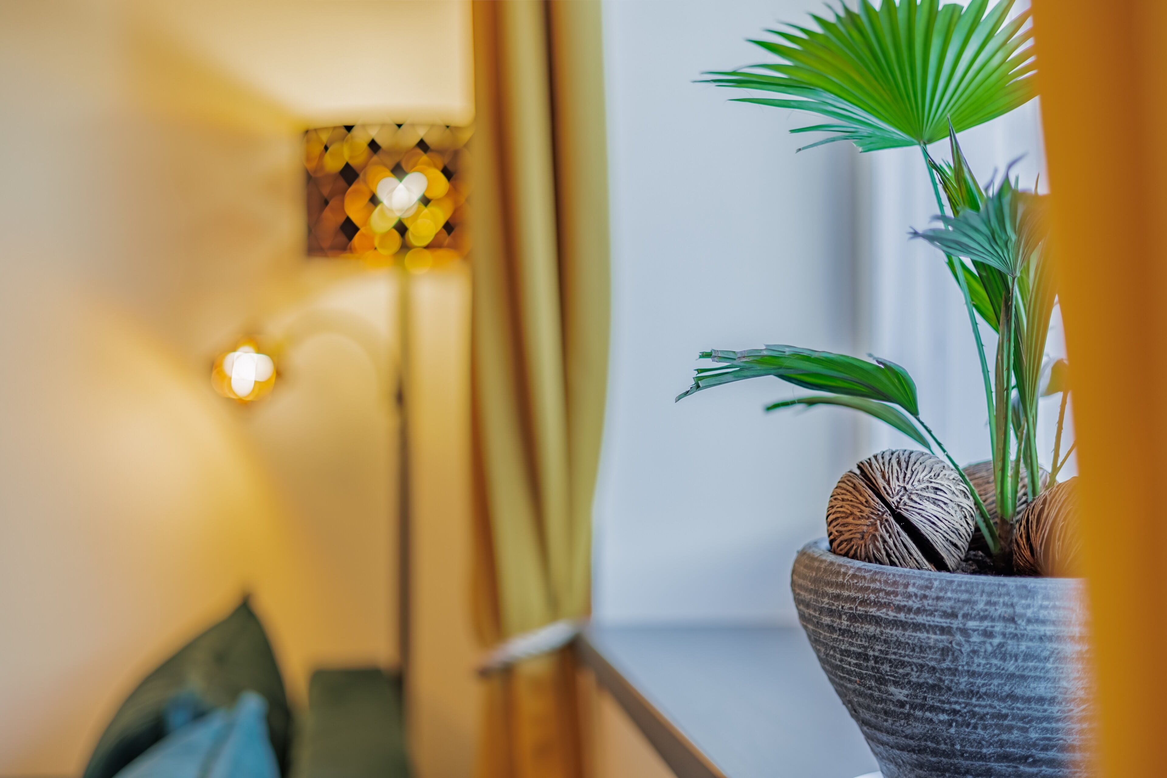 Una planta en maceta con hojas verdes y detalles decorativos en una habitación con ambiente cálido.