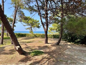 Overnatningsstedets område