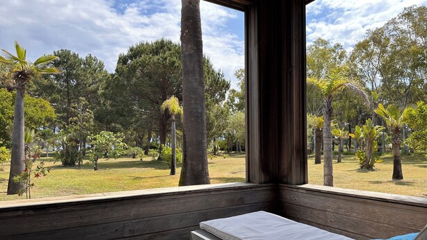 Une terrasse en bois avec un simple matelas blanc et une serviette bleue, donnant sur un jardin où poussent différentes espèces d’arbres et sous un ciel dégagé.