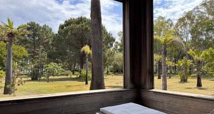 Pineto | Villa between sea & pine forest - Private beach access, large garden, ground floor