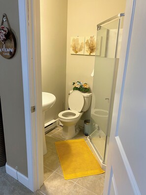 Hair dryer, towels, soap, toilet paper