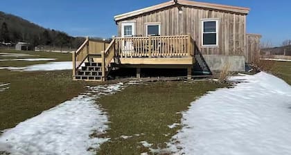 Cozy 3-bedroom cabin in charming Homer with WiFi, AC