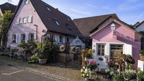 A quaint village with traditional houses, cobblestone streets, and a small shop with a variety of flowers and plants. - Maison Da Silva (Oberderdingen)