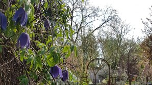 A garden with a pond, a wooden bench, and a metal gate. - Maison Da Silva (Oberderdingen)