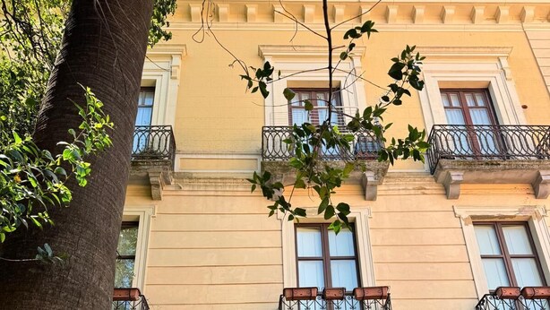 Un edificio a più piani con un grande albero sullo sfondo.