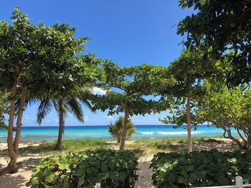 PALM BEACH - TROPICAL PARADISE ON THE BEACH