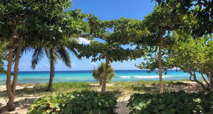 PALM BEACH - TROPICAL PARADISE ON THE BEACH
