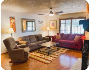 TV connectée, lecteur de DVD, livres, vidéothèque