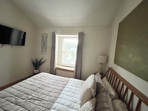 A bedroom with a bed, a window with curtains, a wall-mounted TV, a bedside lamp, and a potted plant. - Central Madison Home with Bright Open Floorplan (Madison)
