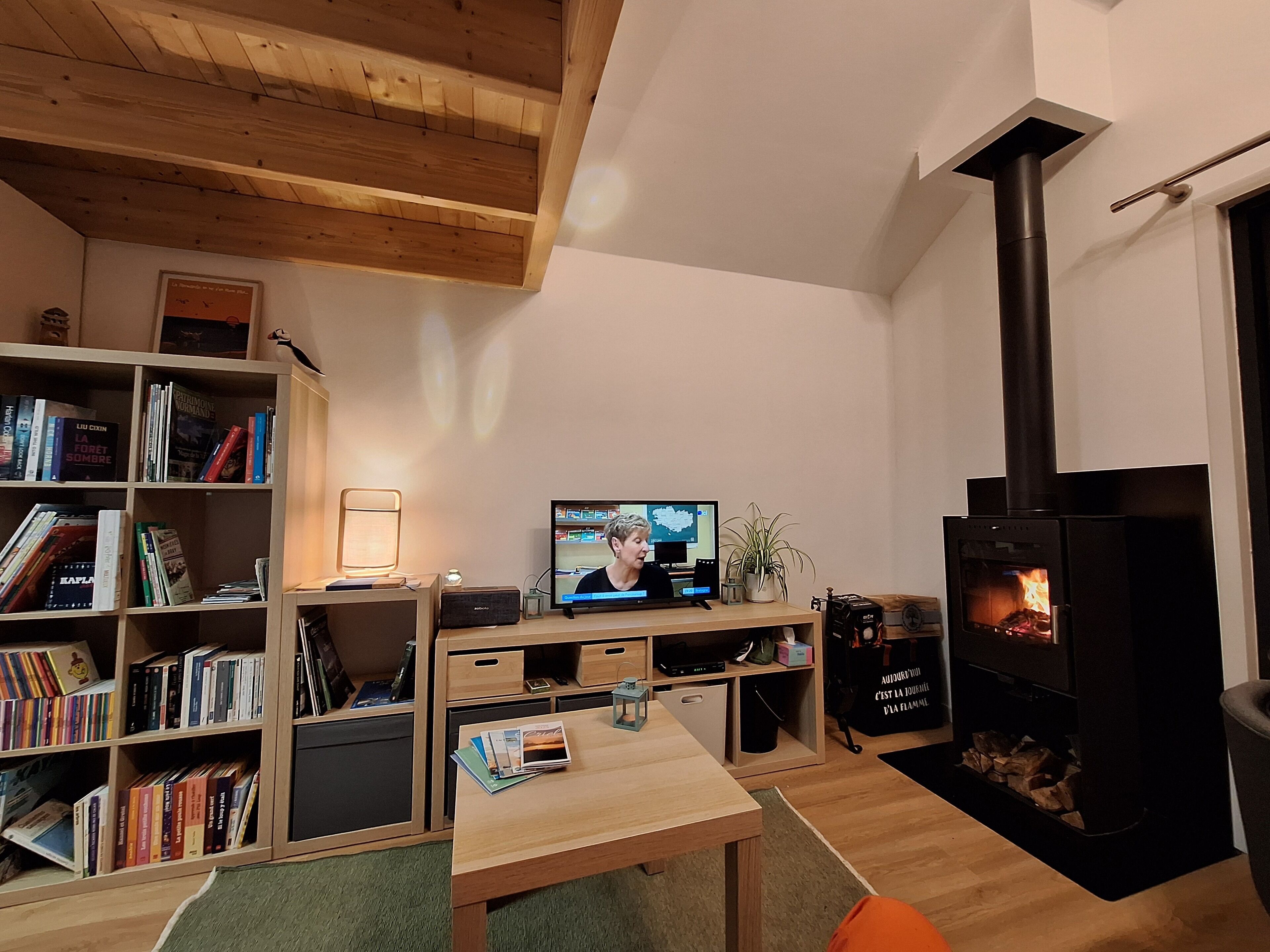 Un salon chaleureux avec un plafond en bois, une bibliothèque remplie de livres, un téléviseur, une cheminée et une petite table.