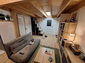 Smart TV, fireplace, books