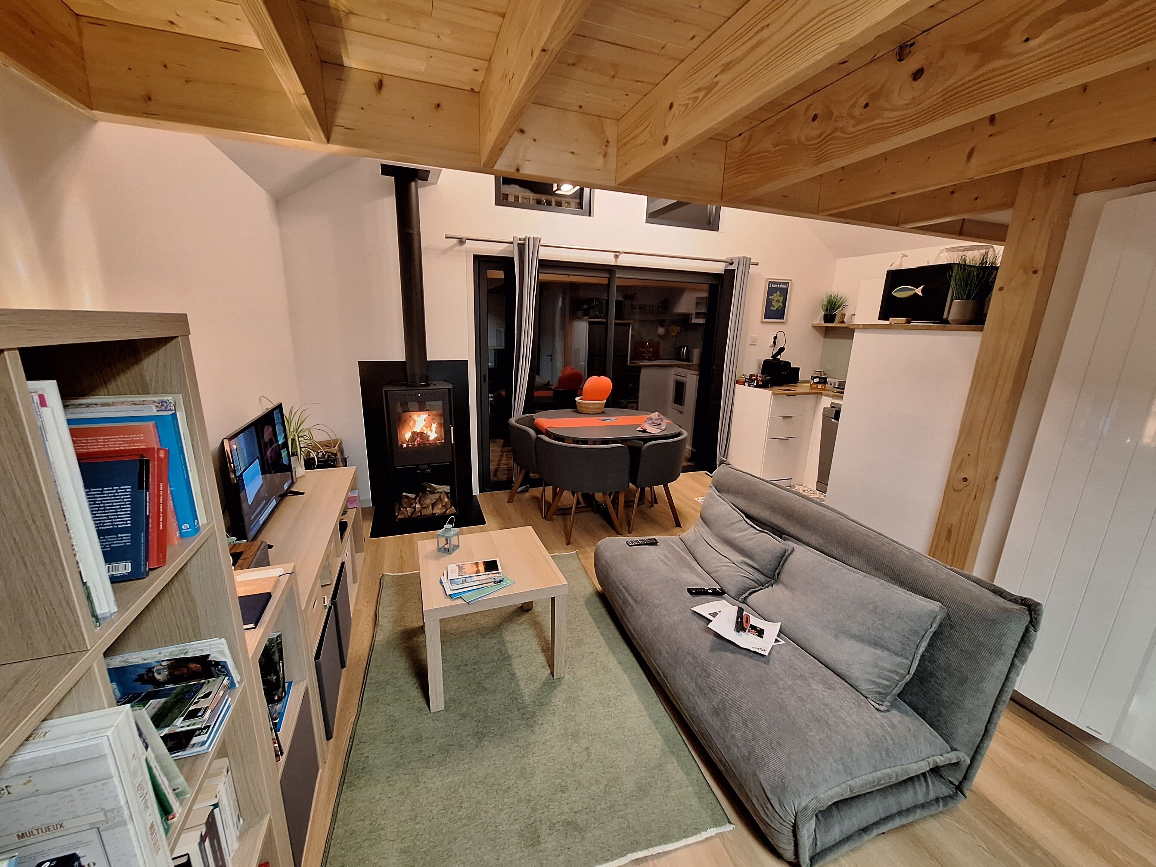 TV connectée, cheminée, livres