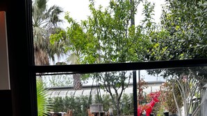 Una mesa de comedor dispuesta con diversos platos, como papas fritas, ensalada y pan, con vistas a un jardín y una zona de estar al aire libre a través de una ventana.