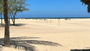 Unclassified image, 3 of 18, button - Kijani Paradise (Malindi)