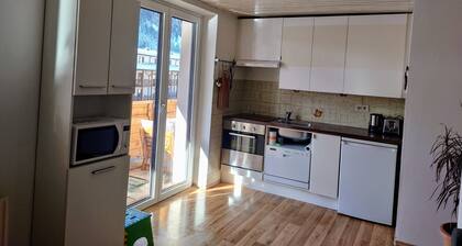 Vacation apartment DIRECTLY at the lift in the Ski Amadé - Haus Daniel Schartner Kleinarl