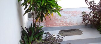 Fish Hostel