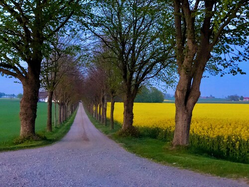 Fresh and comfortable farmhouse in idyllic village environment in Österlen. Private sunny patio