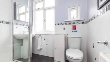 Shower, hair dryer, soap