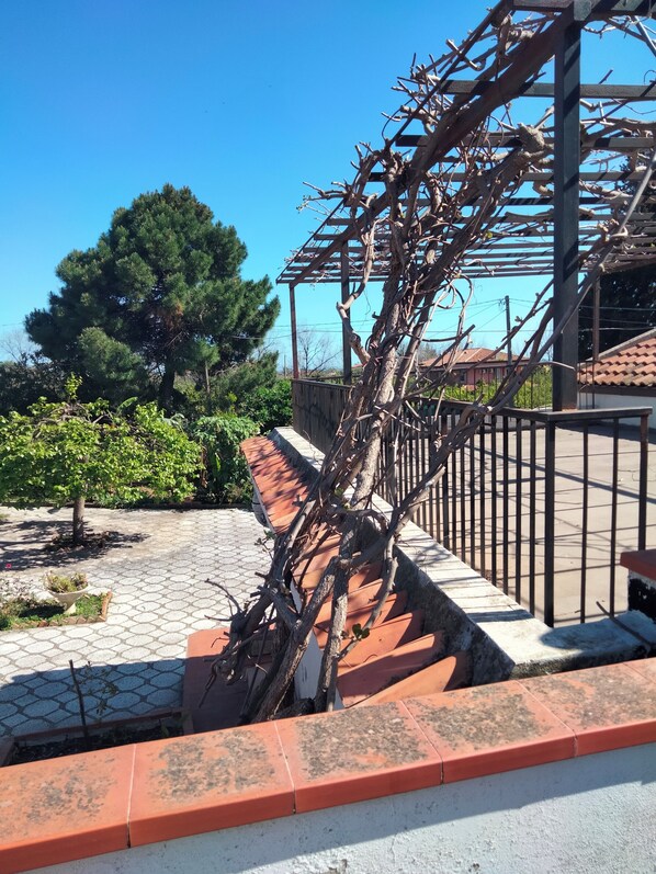 Parco della struttura