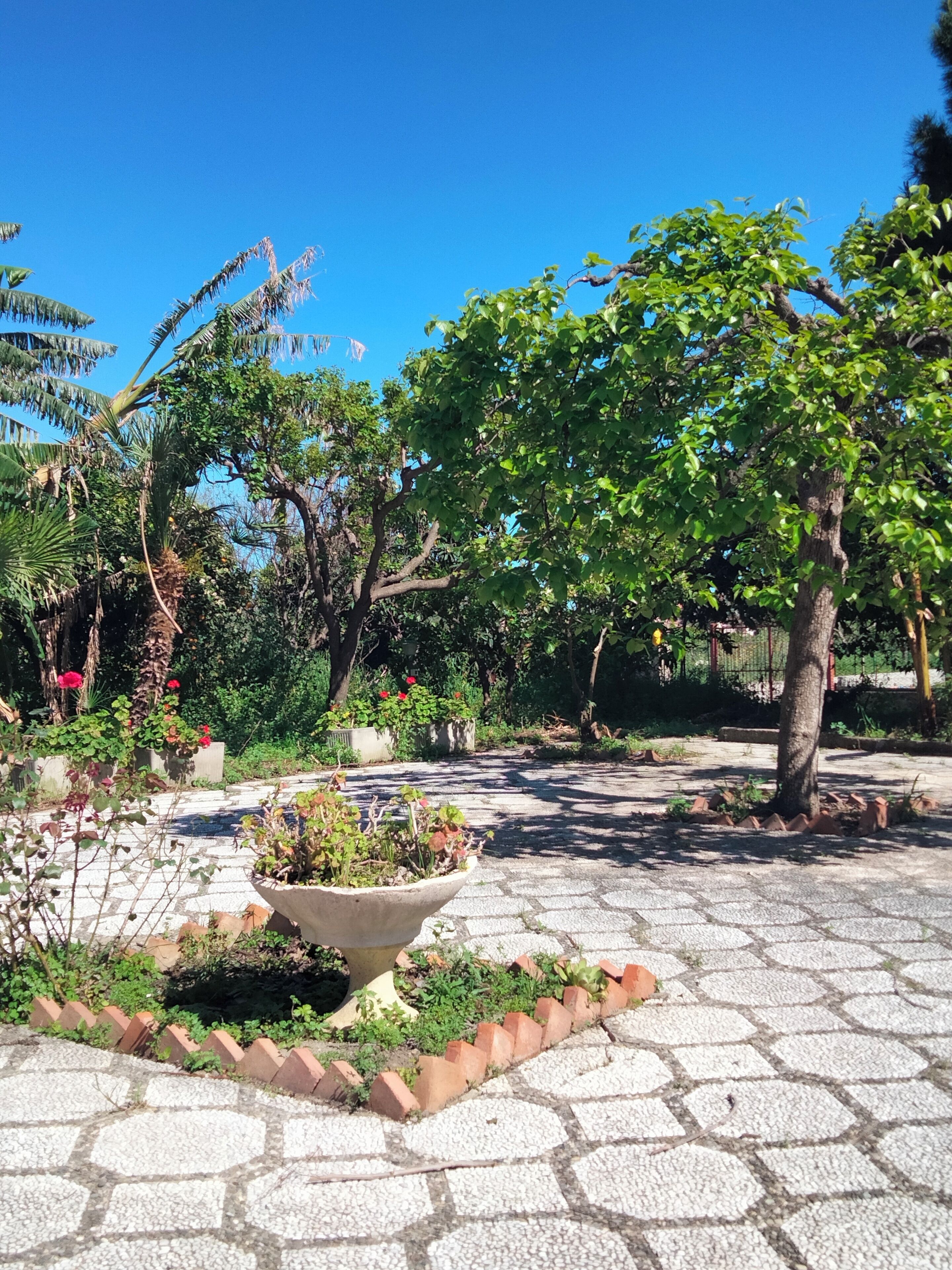 Áreas de la propiedad