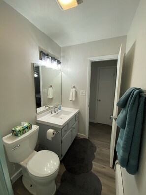 Shower, towels, toilet paper