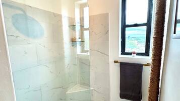 Shower, eco-friendly toiletries, hair dryer, towels