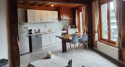 Appartement style chalet