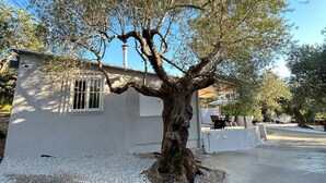 A tree with a thick trunk and dense foliage in front of a building with a window and a door. - QUIET ESCAPE (CHORA MESSINIAS)