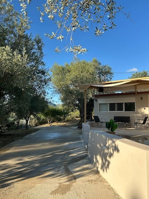 Terrasse/gårdhave