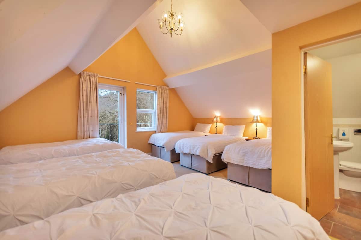 A bedroom with two beds, a chandelier, and a bathroom visible through an open door.