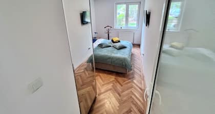 Cozy and comfortable apartment