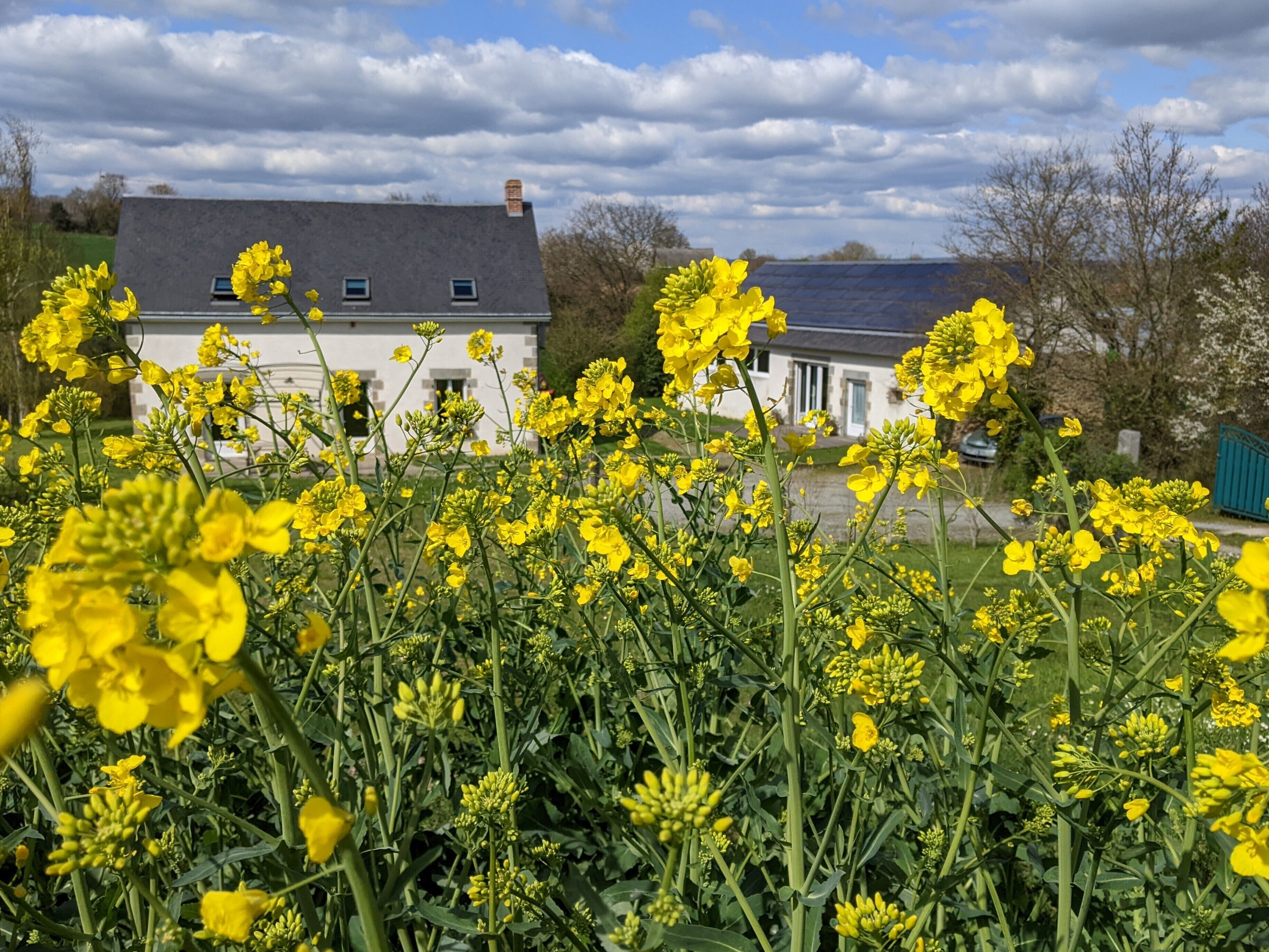 Parco della struttura