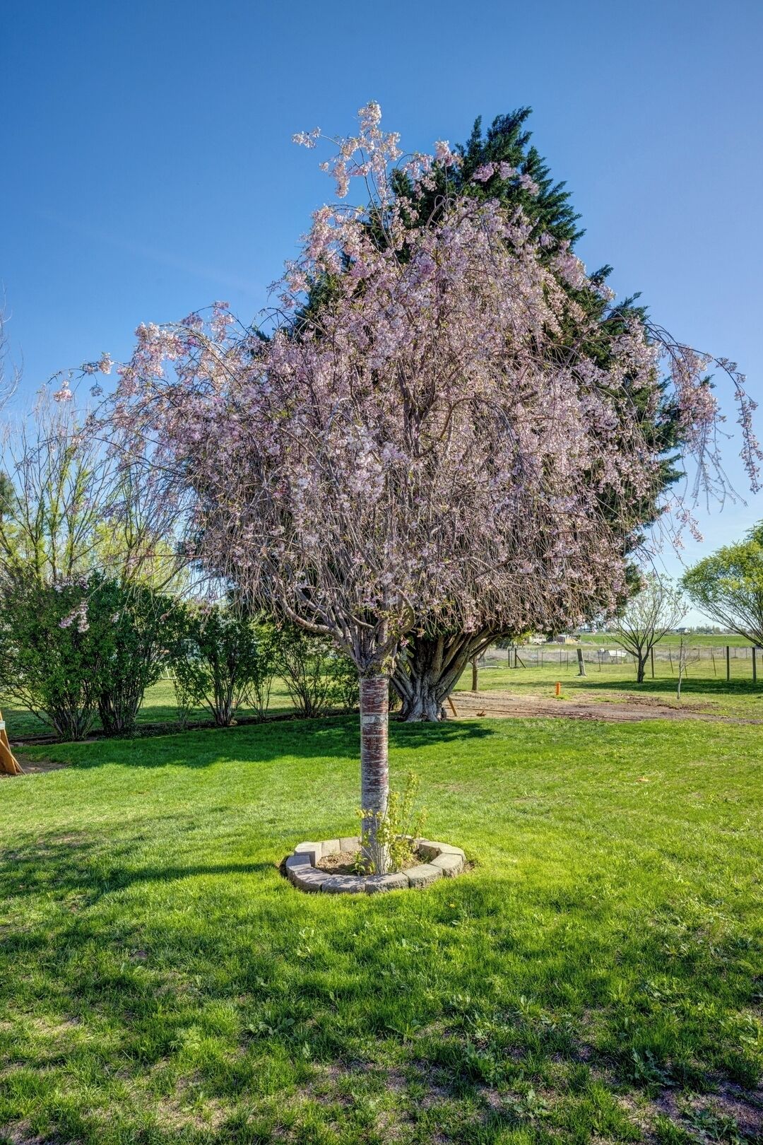 Casa (3 Bedrooms) | Plànol de la planta